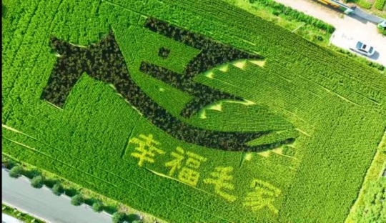 餞別晚秋，讓我們在這個鄉村來一場冬日趣游