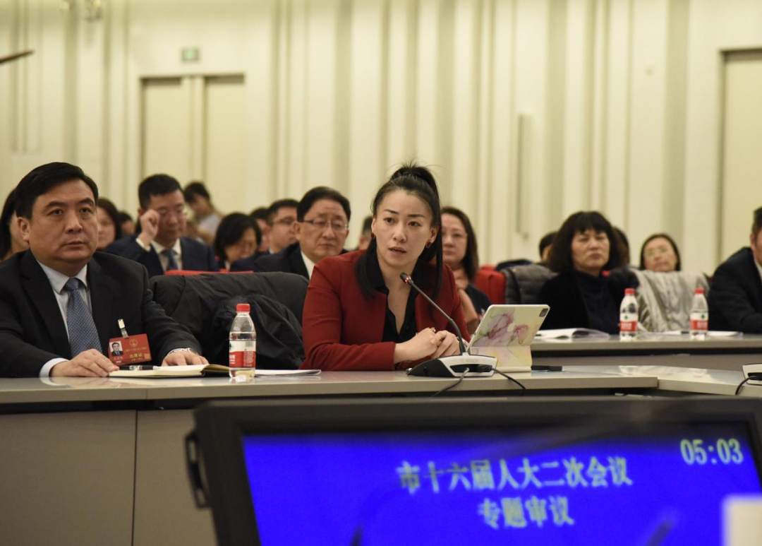 金晶在專題審議中呼吁關注殘疾人就業問題。顧海民攝