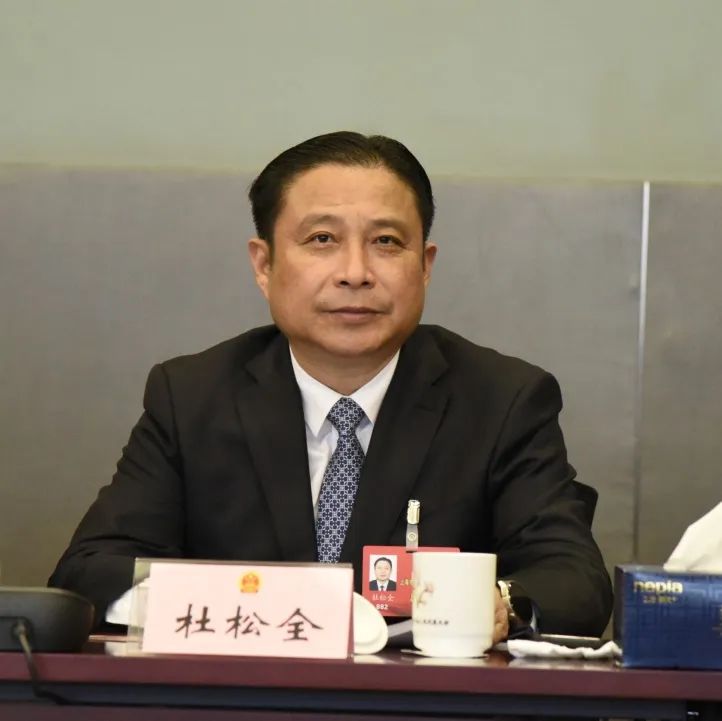 杜松全參加市人大分組討論。人民網 顧海民攝