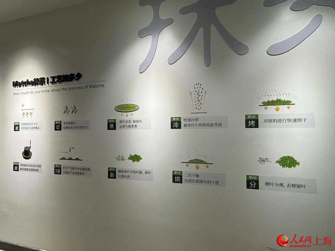 抹茶制作工藝。人民網記者 董志雯攝