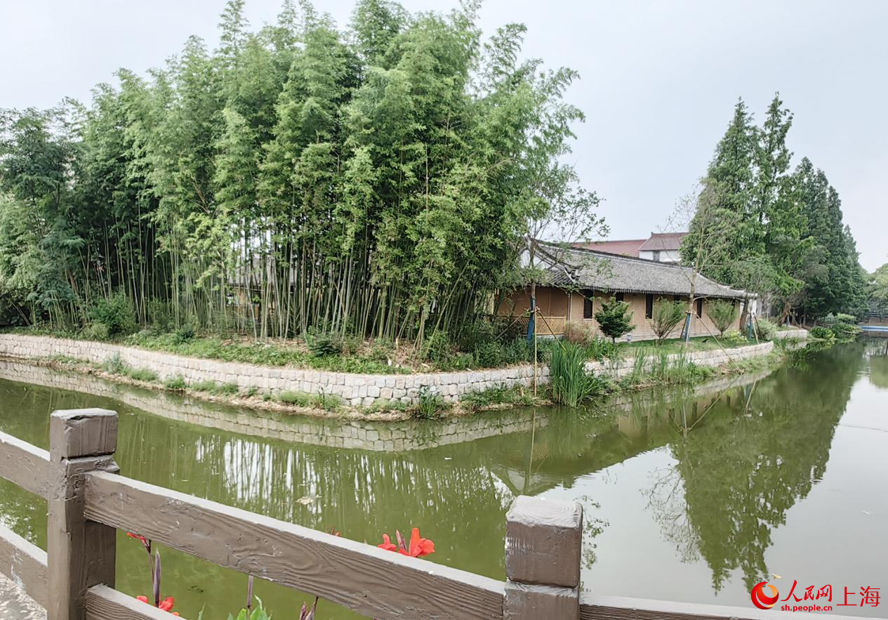 推行積分制后的周浦鎮旗桿村一隅。人民網記者 唐小麗攝