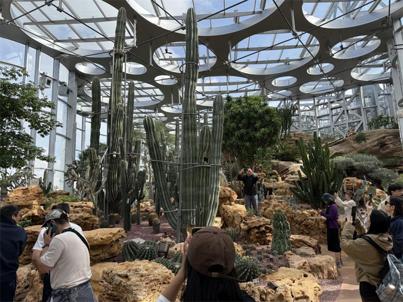 上海溫室花園內。 人民網記者 王文娟攝