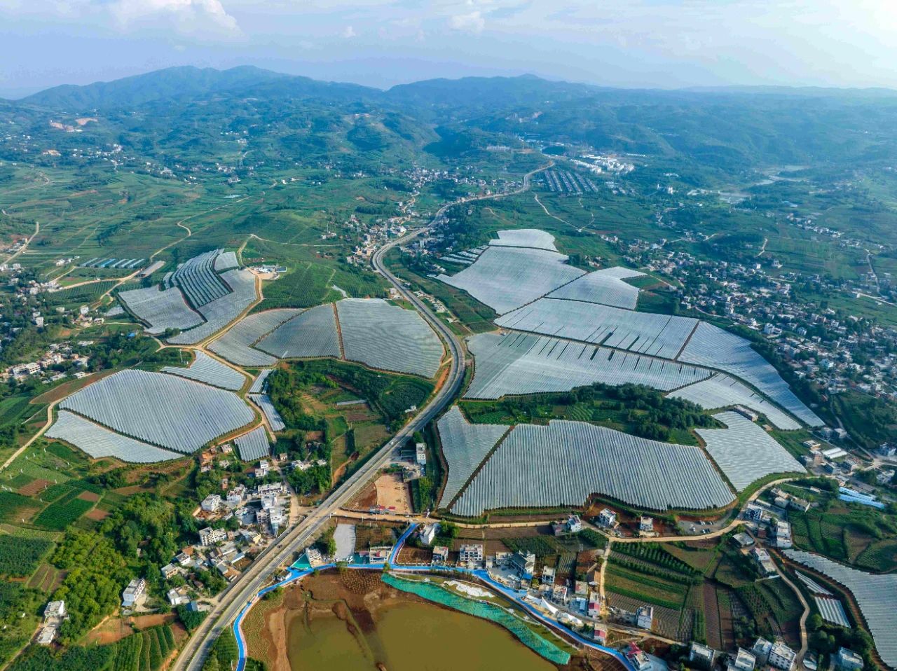 產業合作 | 普陀區助力產業振興 小蘋果變成“致富果”