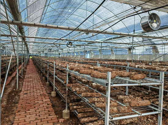 經驗交流 | 滬滇幫扶顯真情 千里相約譜新篇