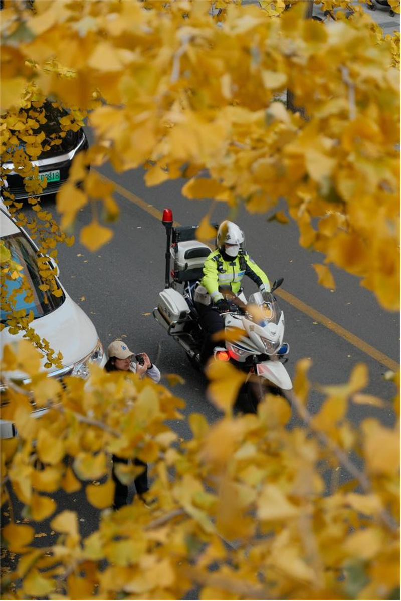 局門路上的風景。 人民網記者 沐一帆 攝