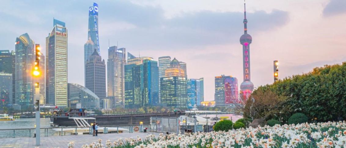 大江東｜發力“十大行動”，看上海人大2024這一年