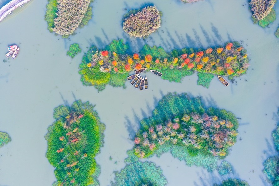 俯瞰金山區漕涇鎮水庫村一隅。資料圖片