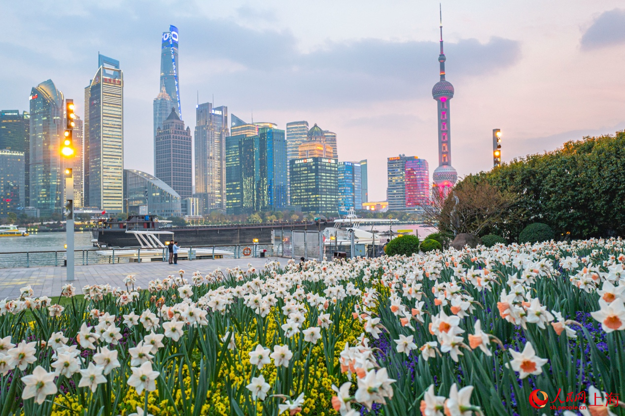 北外灘繁花似錦，景色迷人。 人民網記者 王初攝