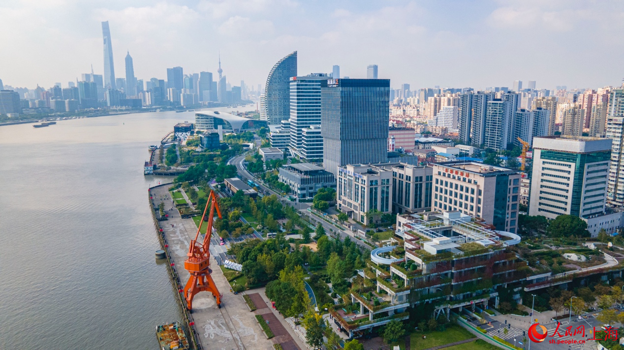 遠眺楊浦濱江。 人民網記者 王初攝