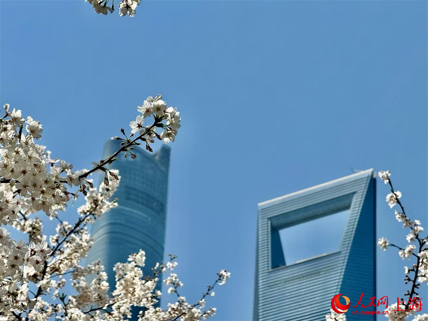 上海：陸家嘴鮮花綻放，白領出門即是春天