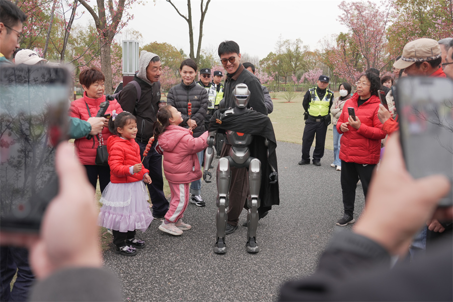 機器人走秀，與游客同賞櫻花。寶山區新聞辦供圖