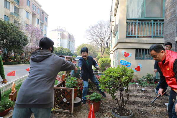 小區門前的綠化