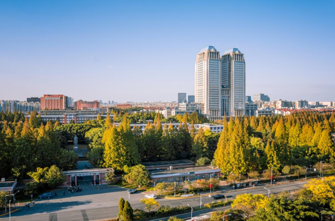 楊浦高校云集。