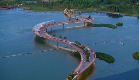 聯動2025世界賽艇錦標賽 青浦還有這么多好去處