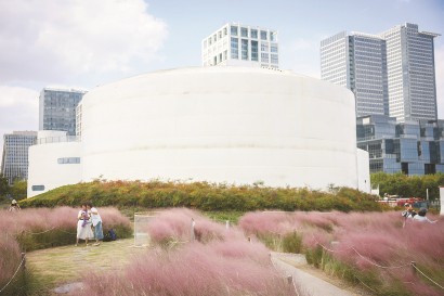 圖為昨天，在徐匯濱江油罐藝術中心，市民徜徉在粉黛亂子草花海中，觀景賞秋，拍照打卡。 記者 海沙爾 攝