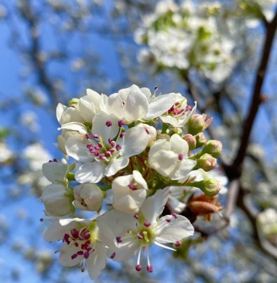 ���� (9).jpg