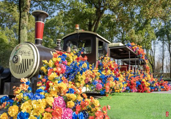 解放日報 孟雨涵 攝20240320_53