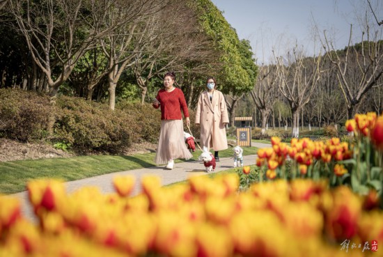解放日報 孟雨涵 攝20240320_49
