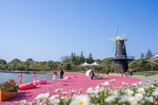 解放日報 孟雨涵 攝20240320_63